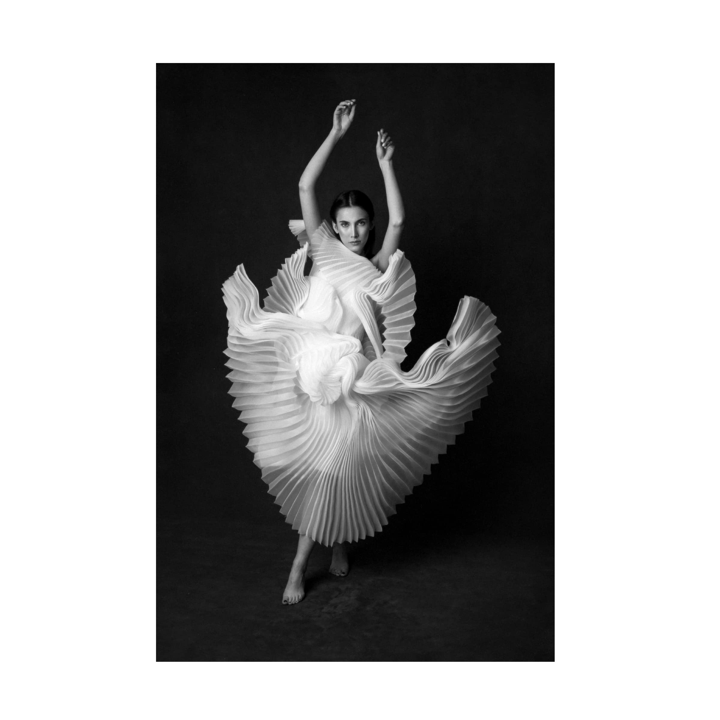 Trademark Fine Art 'Swan Lake' Canvas Wall Art by Peyman Naderi - Ballet Dance Painting for Living Room, Bedroom & Office Decor