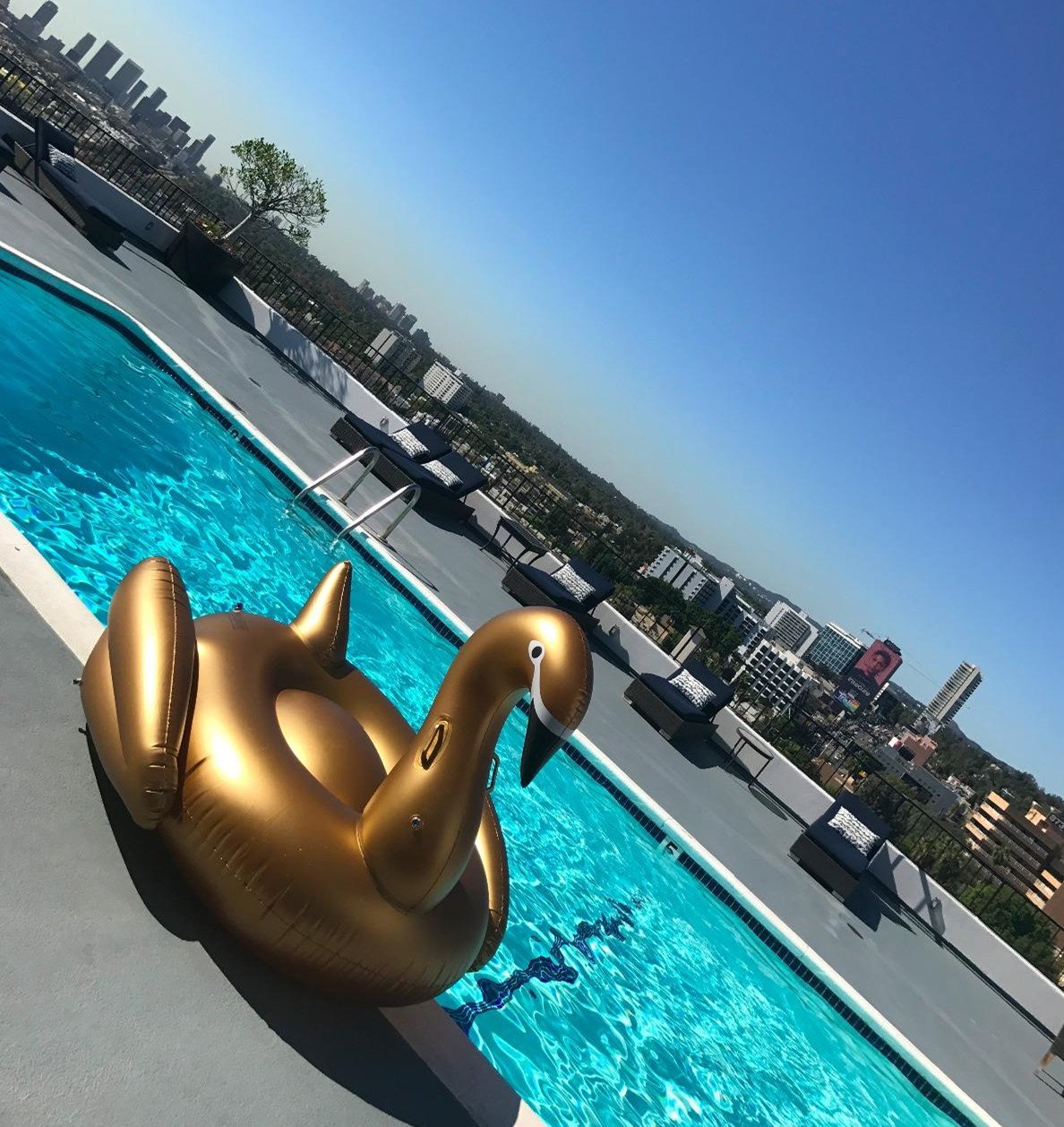 Jasonwell XXXL Giant Inflatable Golden Swan Pool Float - Quick-Fill Valves, Durable Beach & Pool Floatie for Adults Kids, Summer Party Decor, Lounge Raft for Swimming Pools, Lakes, and Backyard Gatherings