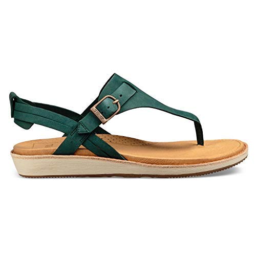 Teva Women's Encanta Thong Sandals - Arctic Forest Color, Size 8 | Comfortable Flip Flops for Beach, Pool & Summer Outdoor Activities