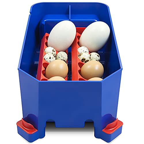 Premier 1 Supplies Borotto Lumia 8 Automatic Egg Incubator with Humidity Pump - Perfect for Poultry Farming, Hatching Chicken Duck Quail Eggs at Home or Farm