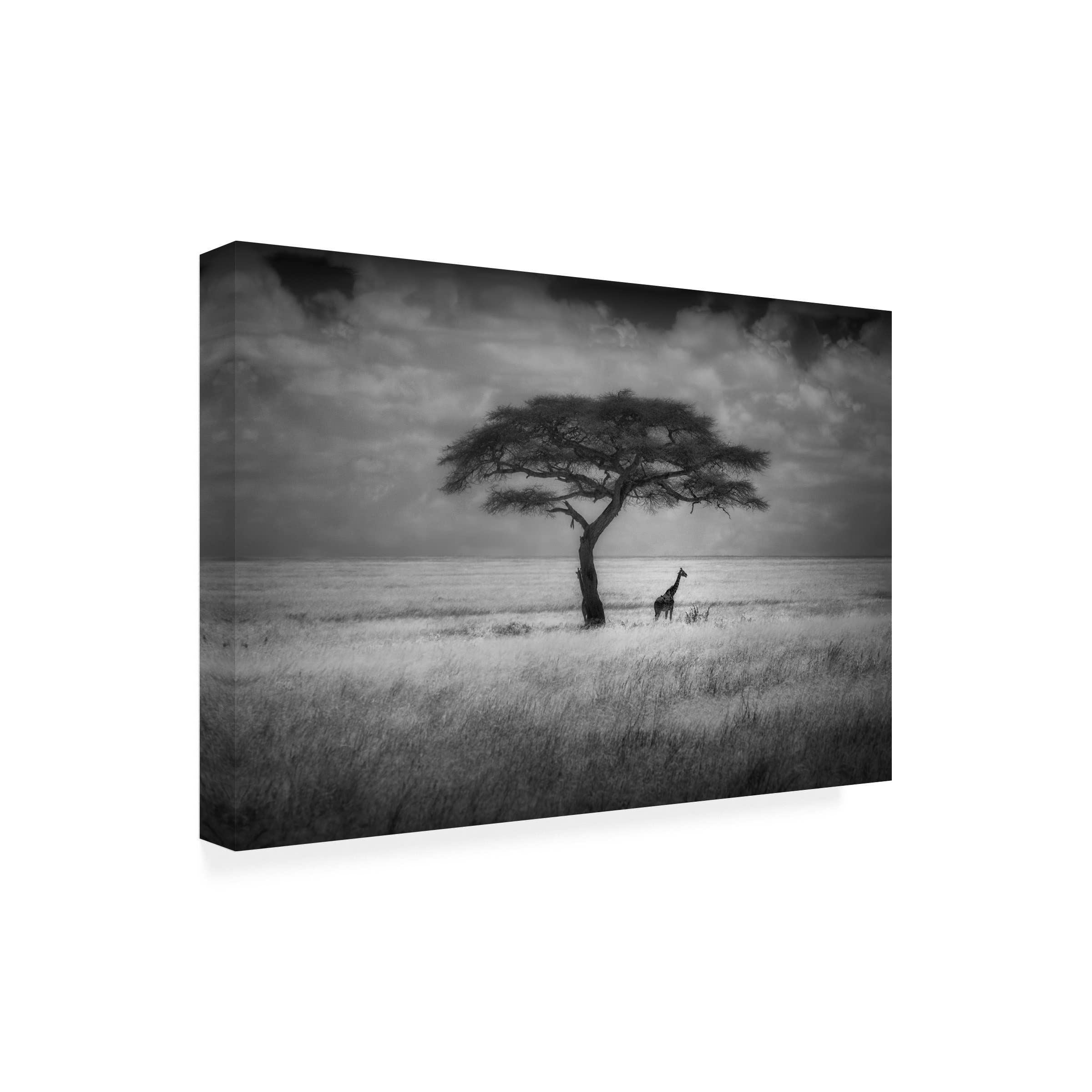 Greg Metro 'Shade' Canvas Wall Art Print - Modern Abstract Painting for Living Room, Bedroom & Office Decor | Trademark Fine Art Collection