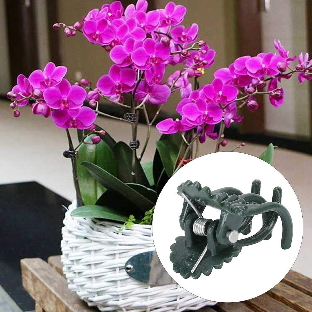 200Pcs Green Flower Shaped Plant Clips - Orchid Support Clips for Stems & Vines, Garden Plant Fixing Clips for Orchids, Roses, Tomatoes | Perfect for Indoor/Outdoor Gardening, Greenhouse & Vertical Planting