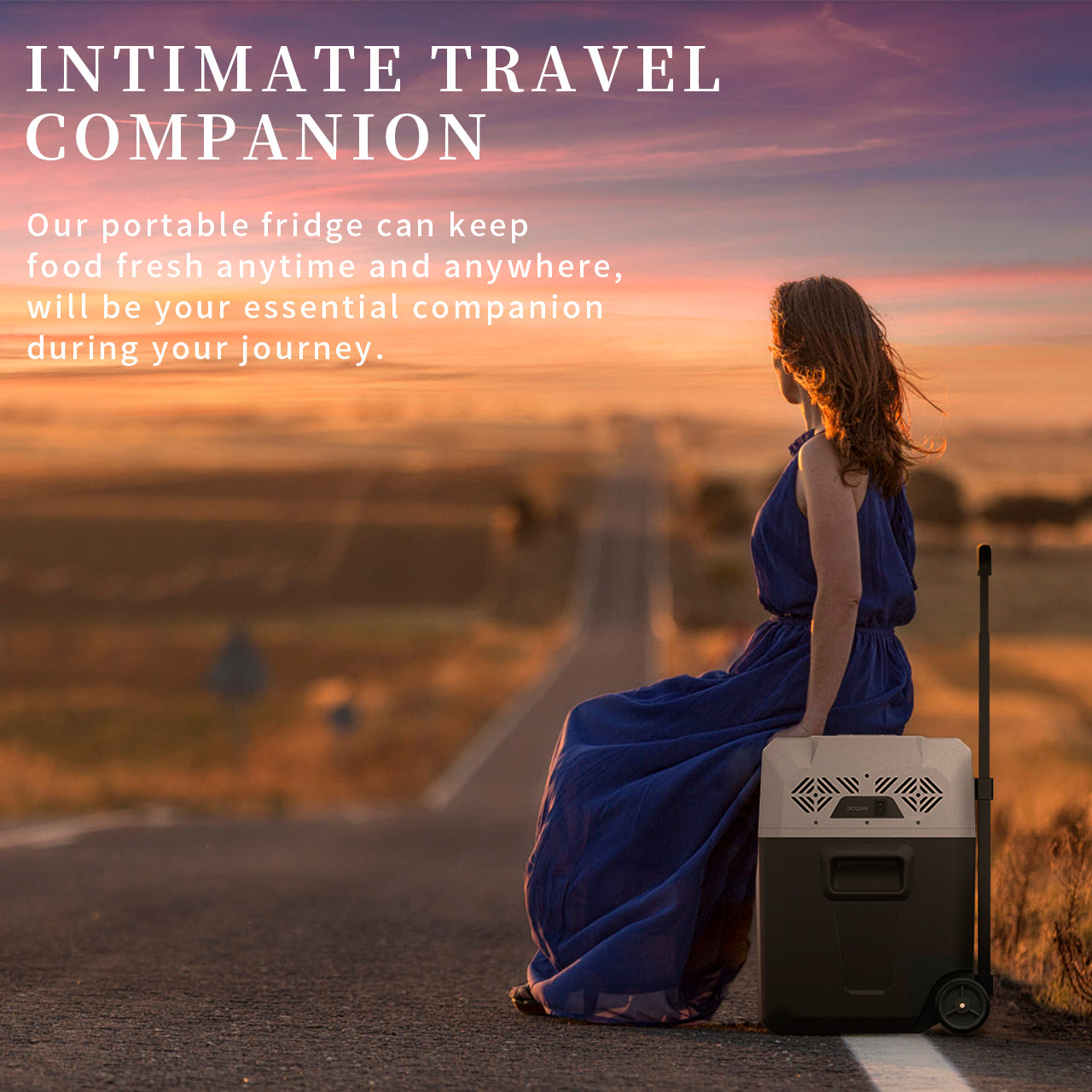Alpicool CX40 12V/24V Portable Car Refrigerator and Freezer - 40 Quart Electric Cooler for Road Trips, Camping, and Outdoor Adventures