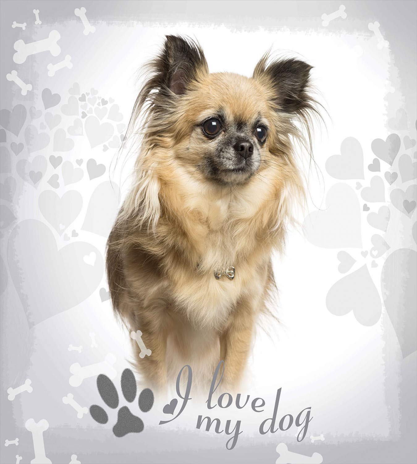 Ambesonne Chihuahua Duvet Cover Set - Dog Lover 3-Piece Bedding with Paw Print Design & Pet Photo - Queen Size Sand Brown Grey - Perfect for Pet Owners & Dog-Themed Bedrooms