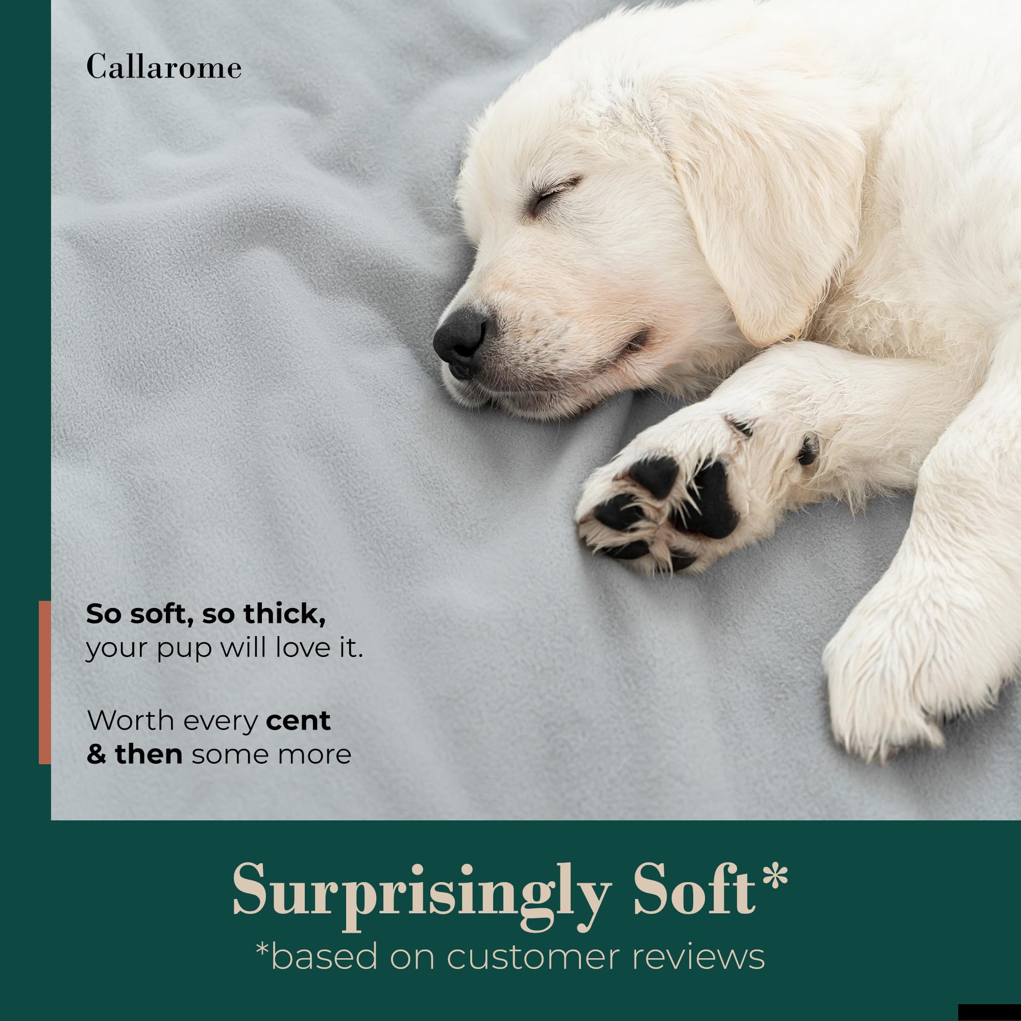 Waterproof Blanket for Bed & Furniture - Large 60