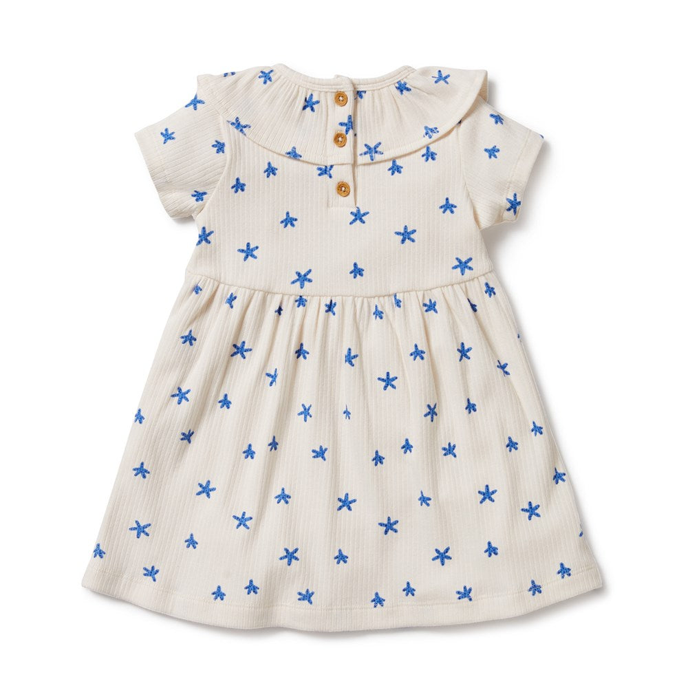 Little Starfish Organic Cotton Rib Ruffle Dress for Baby Girls - Perfect for Birthday Parties, Photo Shoots & Special Occasions