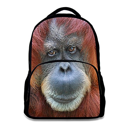 Pongo