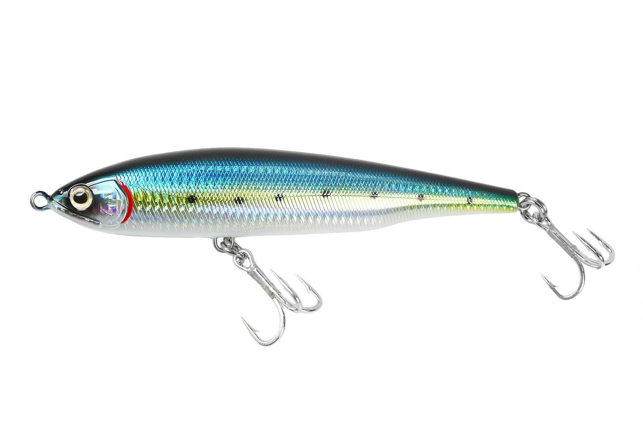 Blue Sardine