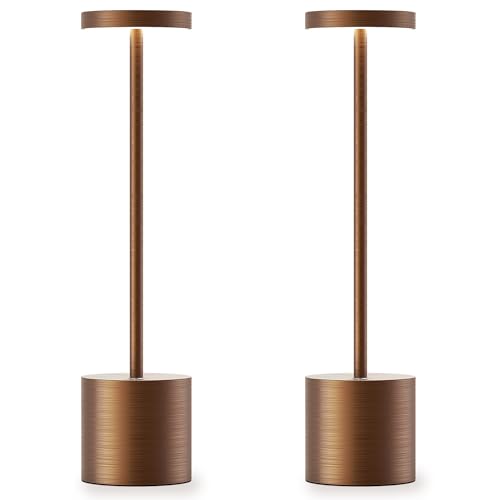 2x Brushed Titanium