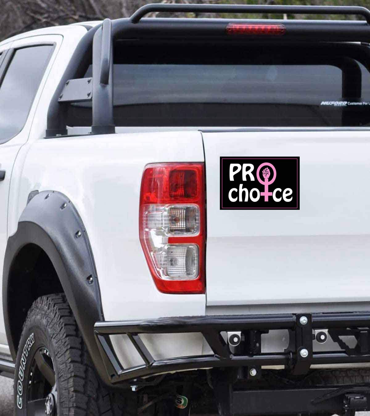 10 Pack Pro Choice Stickers - Feminist Women's Rights Uterus Decals - Waterproof Vinyl for Laptop, Car, Window & Bumper - Perfect for Activism, Protest Signs & Personal Expression