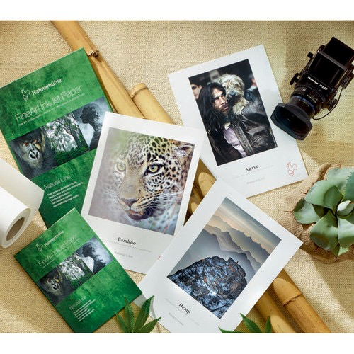 Hahnemühle Natural Line Sample Pack (8.5 x 11) - Premium Watercolor Paper for Artists - Perfect for Sketching, Painting & Mixed Media Art Projects
