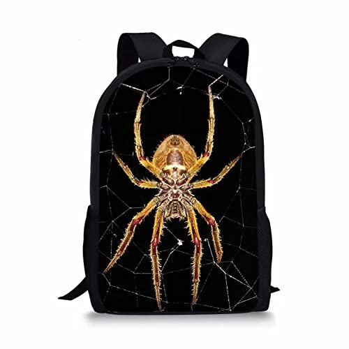 Spider-1pcs