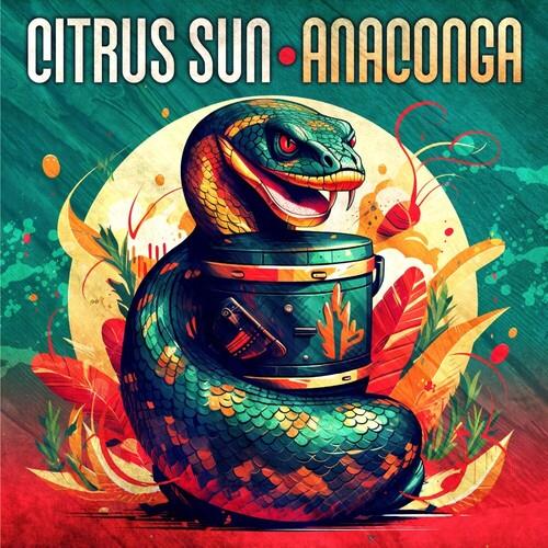 Anaconga Vinyl LP Record - High-Quality 12-Inch Vinyl Album for Music Lovers & Collectors - Perfect for Home Listening, DJing & Gift Giving