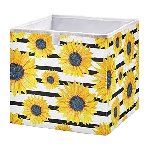 white sunflower