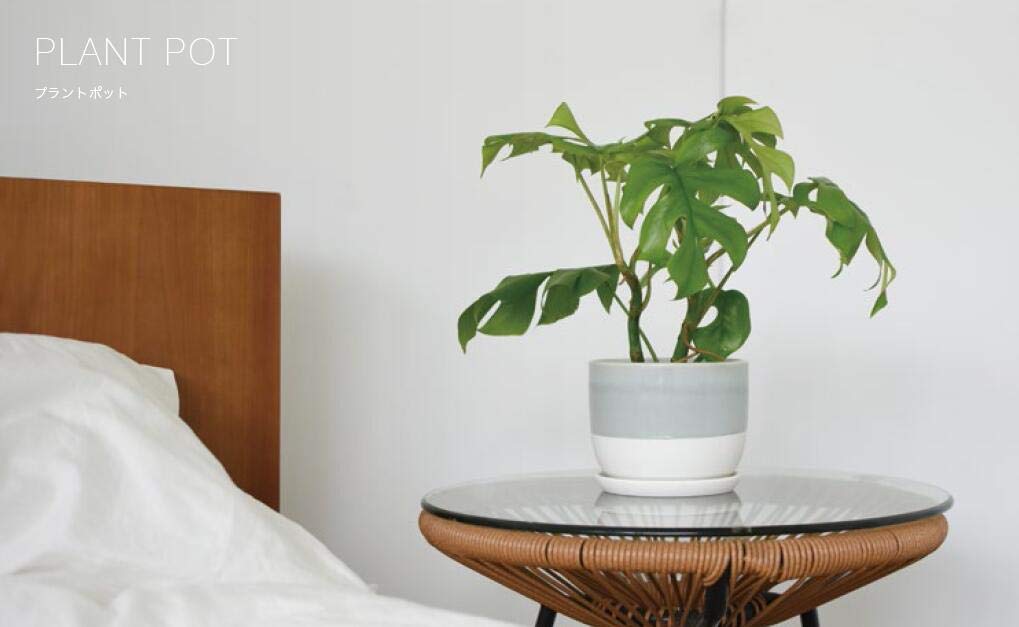 KINTO 29222 Ceramic Plant Pot - 4.3 Inch (110mm) Small Indoor Flower Planter with Drainage Hole, Beige Home Decor for Succulents, Herbs & Houseplants | Perfect for Windowsill, Office Desk & Shelf Decor