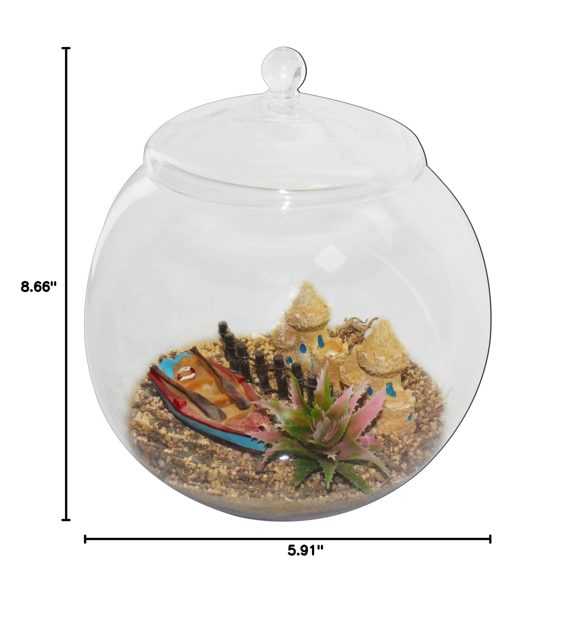 7.9 Inch Glass Terrarium Container with Lid - Large Display Jar for Plants, Cookies, Candies, DIY Crafts - Perfect for Home Decor, Wedding Centerpieces & Gift Packaging