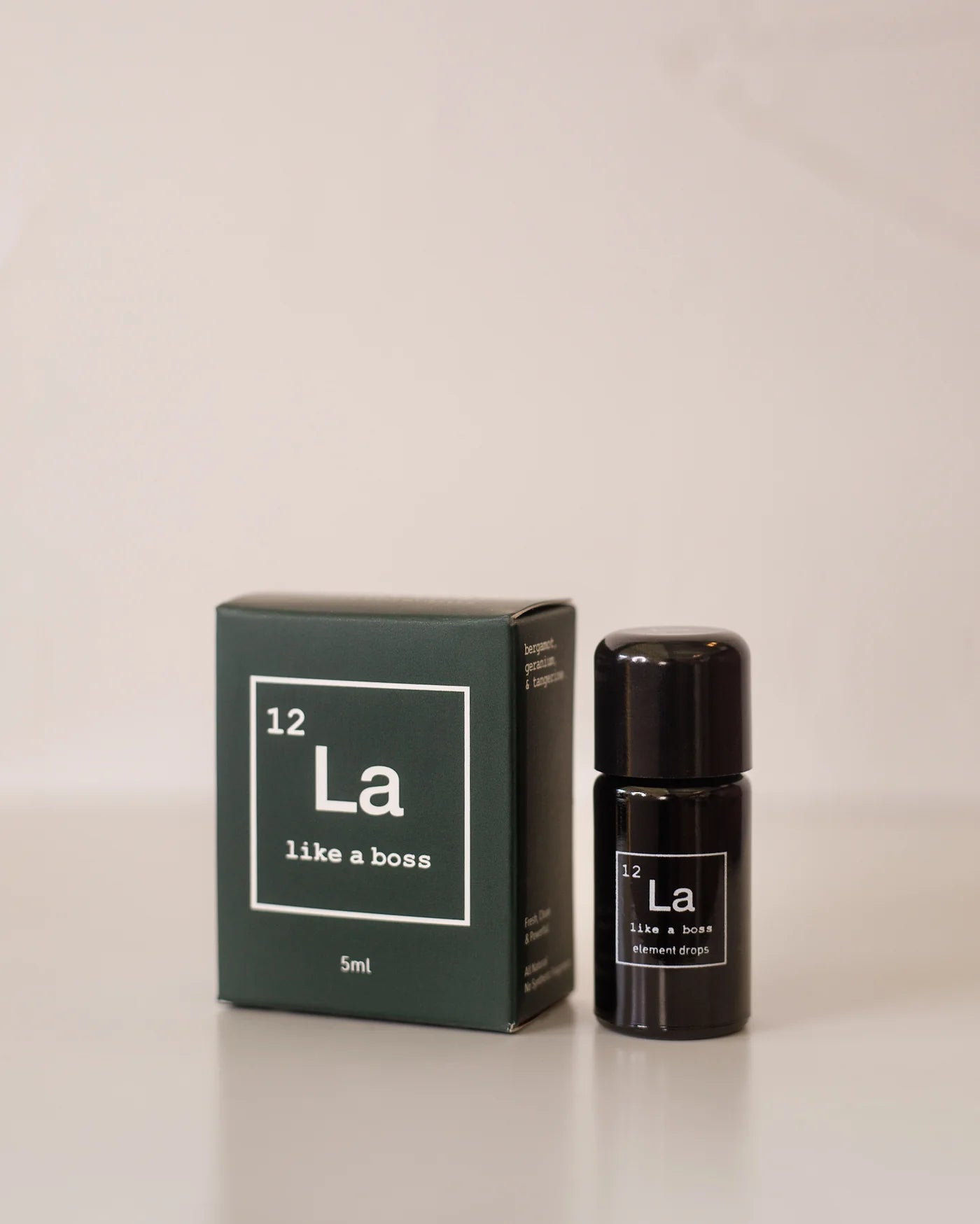 LIKE A BOSS Element Drops - Premium Essential Oil Diffuser Blends for Aromatherapy, Stress Relief & Home Fragrance | Perfect for Yoga, Meditation & Relaxation Spaces