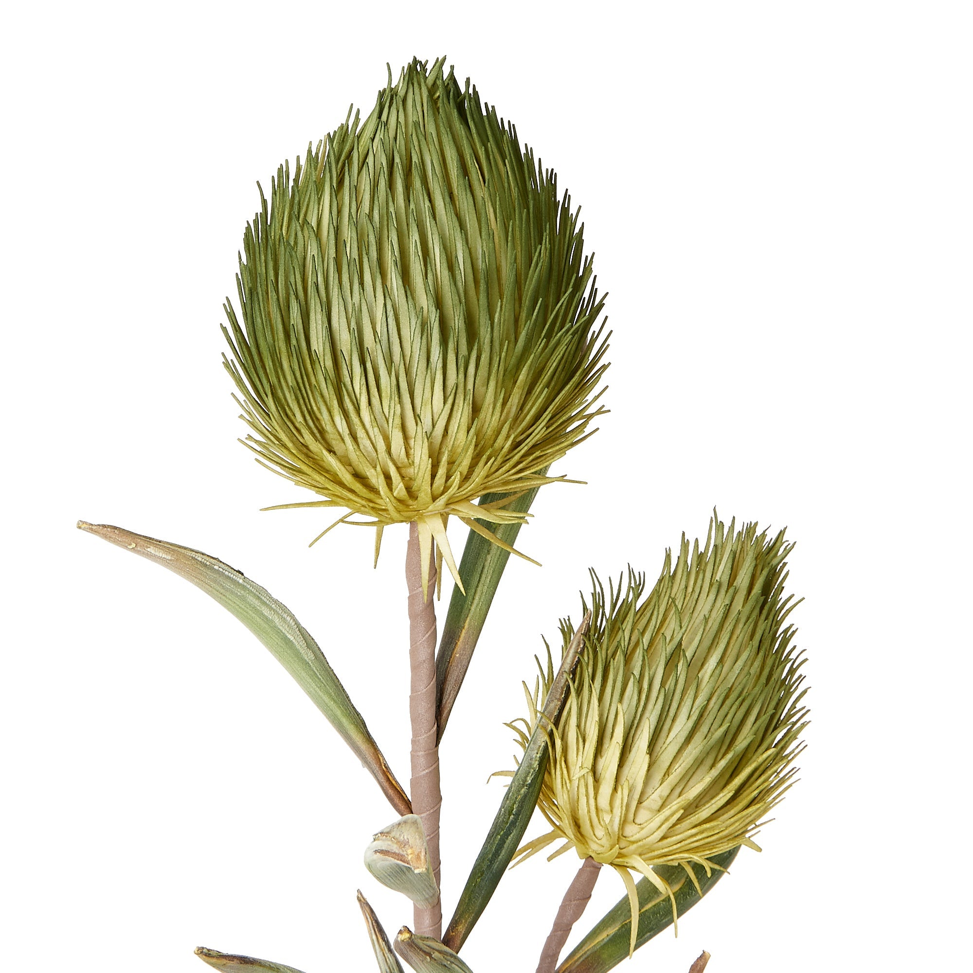 Banksia Artificial Green Plant - Realistic Fake Plant for Home Decor, Office, Wedding, and Party Decoration