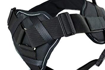 Dean & Tyler Reflective Padded Dog Harness - Large, Black with Reflective Trim - Comfortable & Secure Walking Harness for Medium to Large Dogs - Perfect for Night Walks, Hiking & Outdoor Adventures