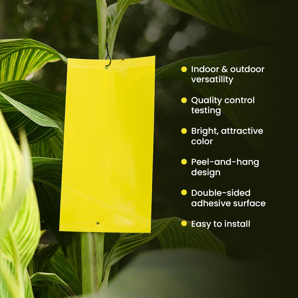Non-Toxic Yellow & Blue Sticky Traps for Aphids, Whiteflies, Thrips - Pack of 10 | Chemical-Free, Waterproof Insect Catchers for Indoor/Outdoor Plants | IFFCO Urban Gardens