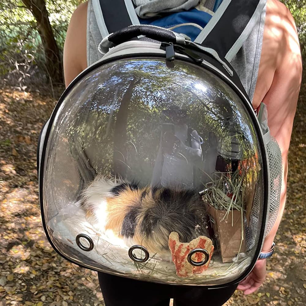 Small Animal Travel Carrier Backpack - Portable Pet Carrier for Guinea Pigs, Bearded Dragons, Sugar Gliders, Hedgehogs, Rats & Rabbits (Black) - Perfect for Vet Visits, Outdoor Adventures & Air Travel