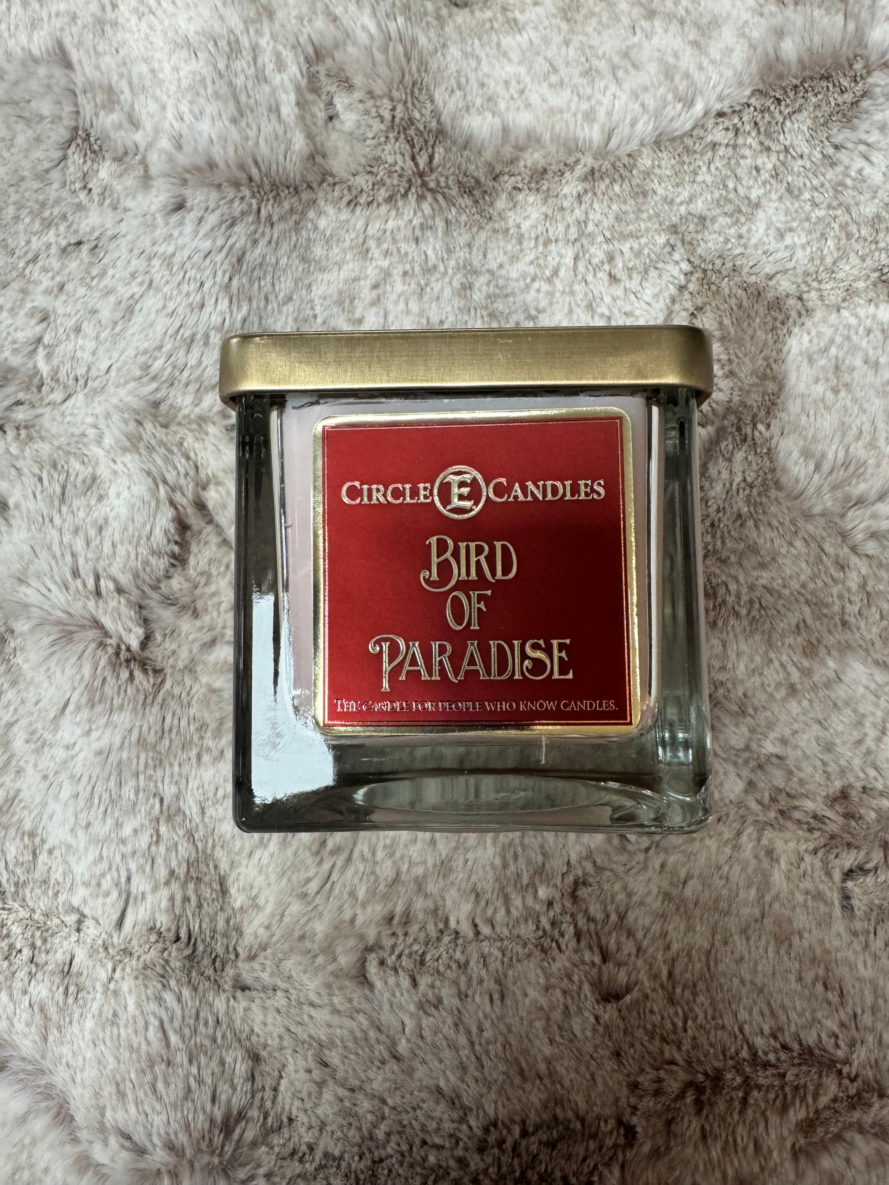 Circle E 8 Oz Bird of Paradise Scented Candle | Premium Soy Wax Candle with Natural Fragrance | Perfect for Home Decor, Relaxation & Gift Giving