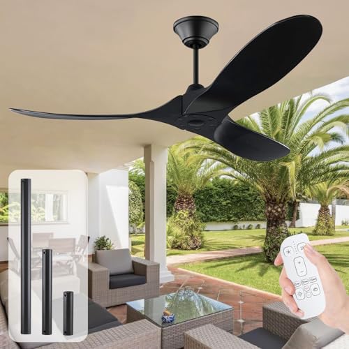60 Inch Black Ceiling Fan