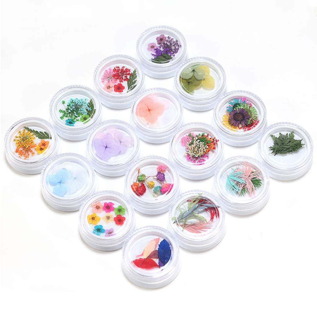 VMS INDIA Dried Flowers for Nail Art - 13pcs Manicure Tools for Acrylic & UV Gel Nail Tips Decoration - Perfect for DIY Nail Designs, Salon Use, and Creative Nail Art Projects