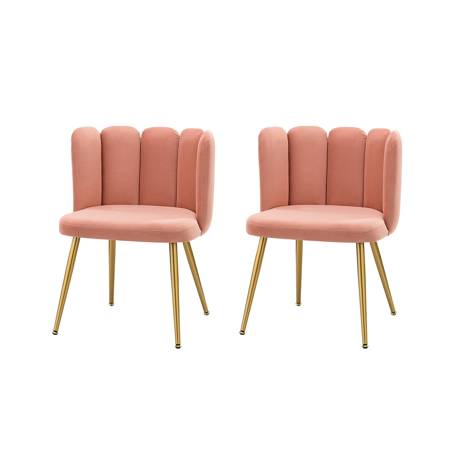HULALA HOME Velvet Accent Chairs Set of 2 - Pink Upholstered Dining Chairs with Shell Back & Gold Metal Legs, Modern Vanity Chair for Makeup Room, Comfy Living Room Seating for Bedroom, Office, or Lounge
