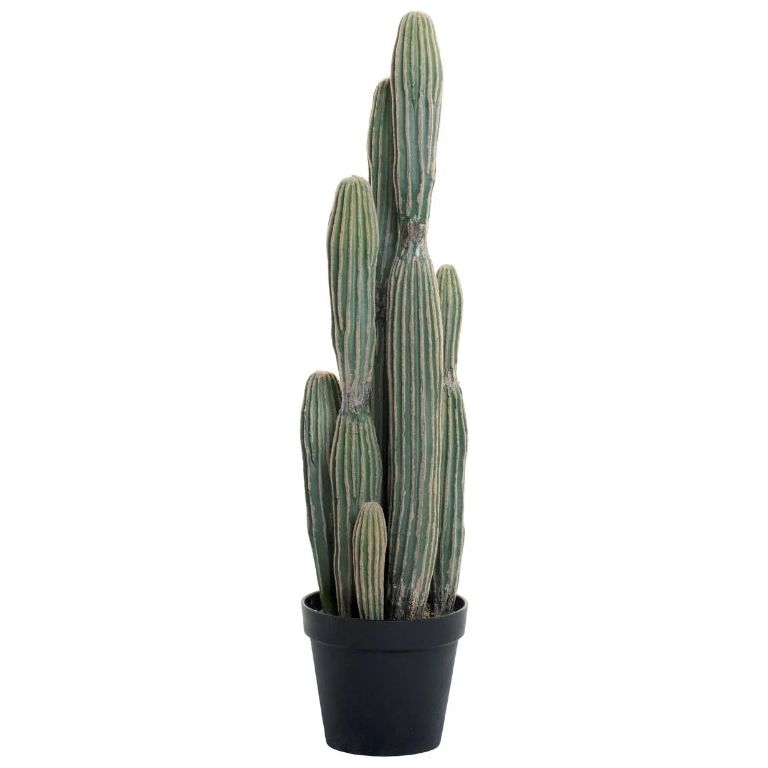 UV Treated Cereus Cactus Plant - 3 Feet Tall | Perfect for Home Decor, Office Spaces & Outdoor Gardens