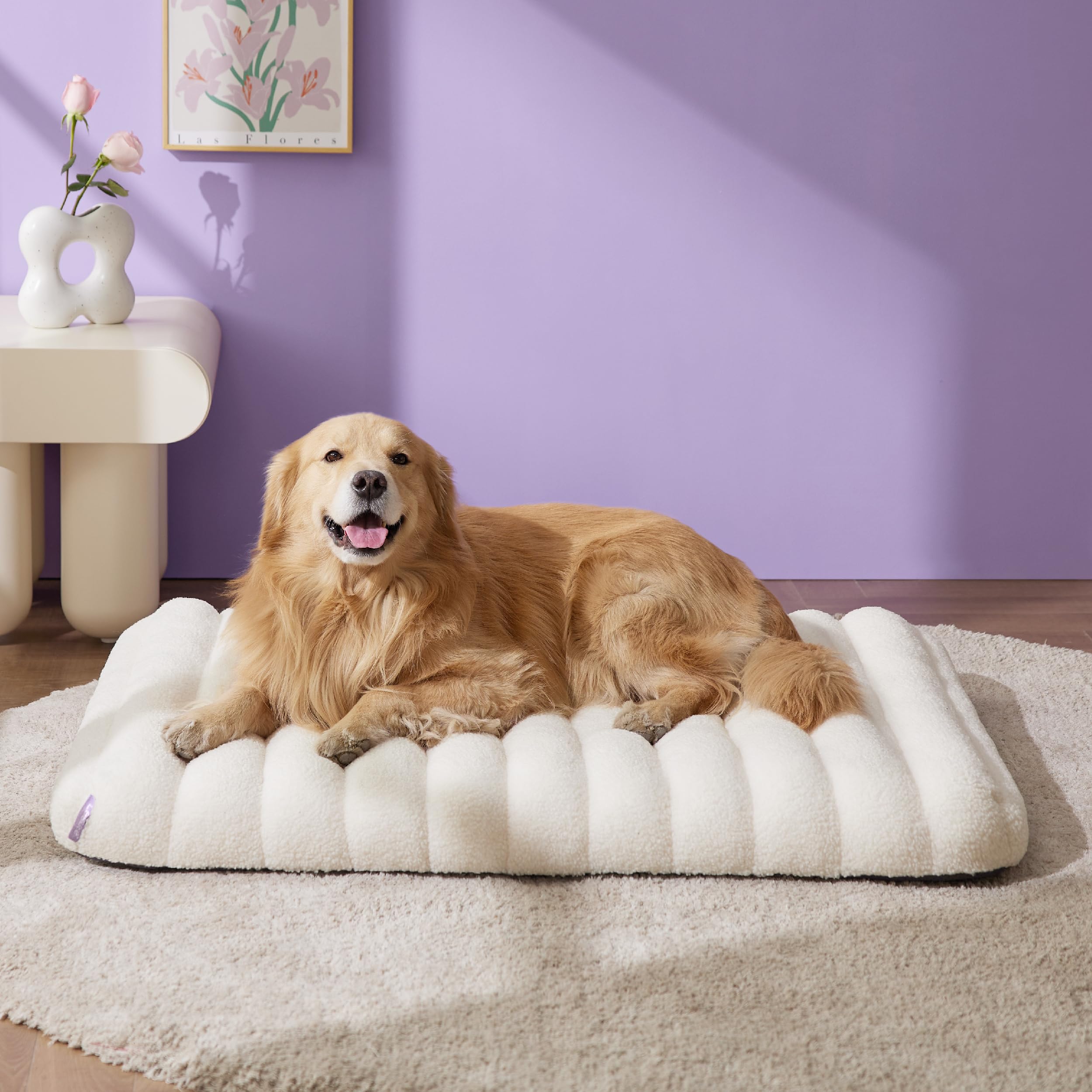 Orthopedic Dog Bed for Large Dogs, Waterproof Pet Mat with Washable Cover - Indoor Comfort for Pets