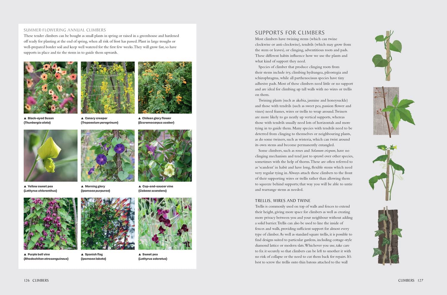 National Trust School of Gardening - Online Gardening Courses & Certification | Learn Gardening Skills for Home, Community & Professional Use