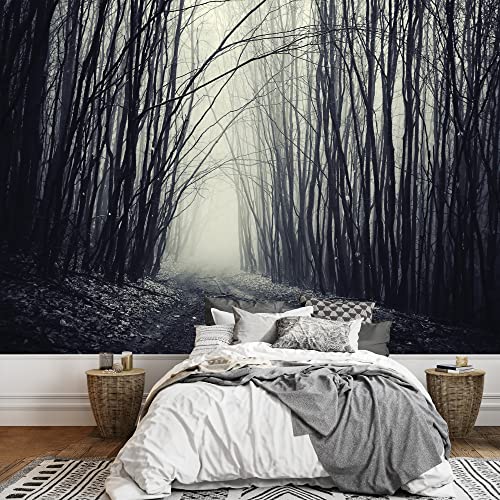 Dried Out Forest-2