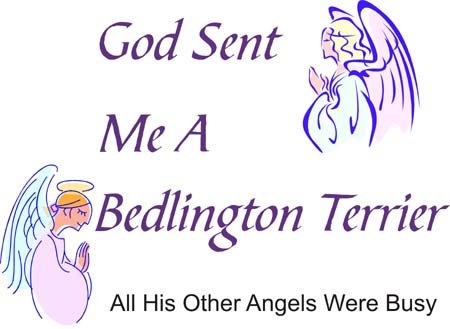 God Sent Me A Bedlington Terrier All His Other Angels Were Busy Funny Dog Lover T-Shirt - Cute Pet Owner Gift for Men & Women - Perfect for Dog Walks, Casual Wear & Gifts