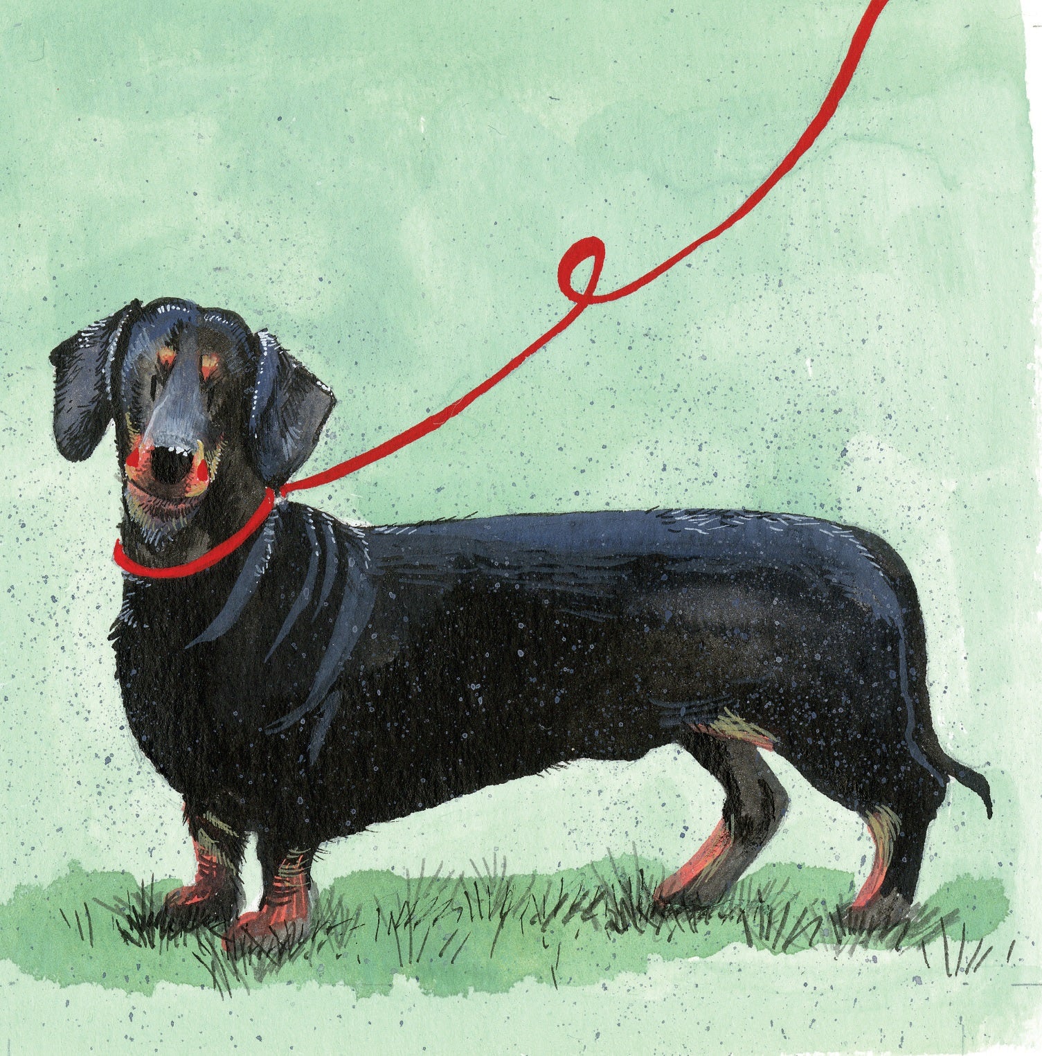 Alex Clark Dachshund Greeting Card | Funny Dog Lover Birthday & Thank You Card | Perfect for Pet Owners & Animal Lovers