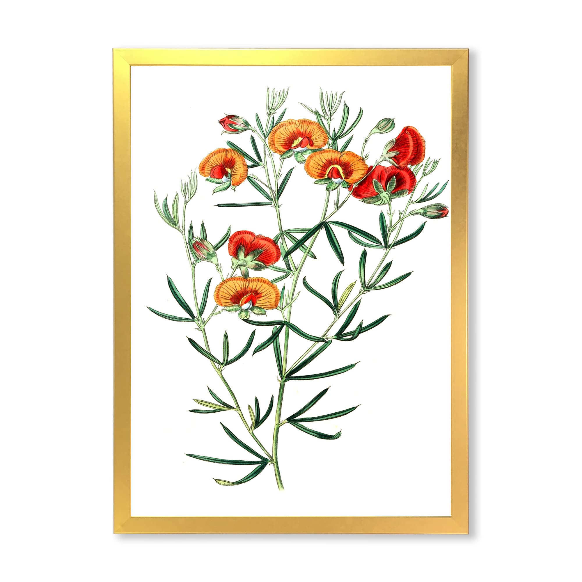 Vintage American Flora VIII Traditional Framed Wall Art - Botanical Print Decor for Living Room, Bedroom & Office - Perfect Gift for Home & Housewarming