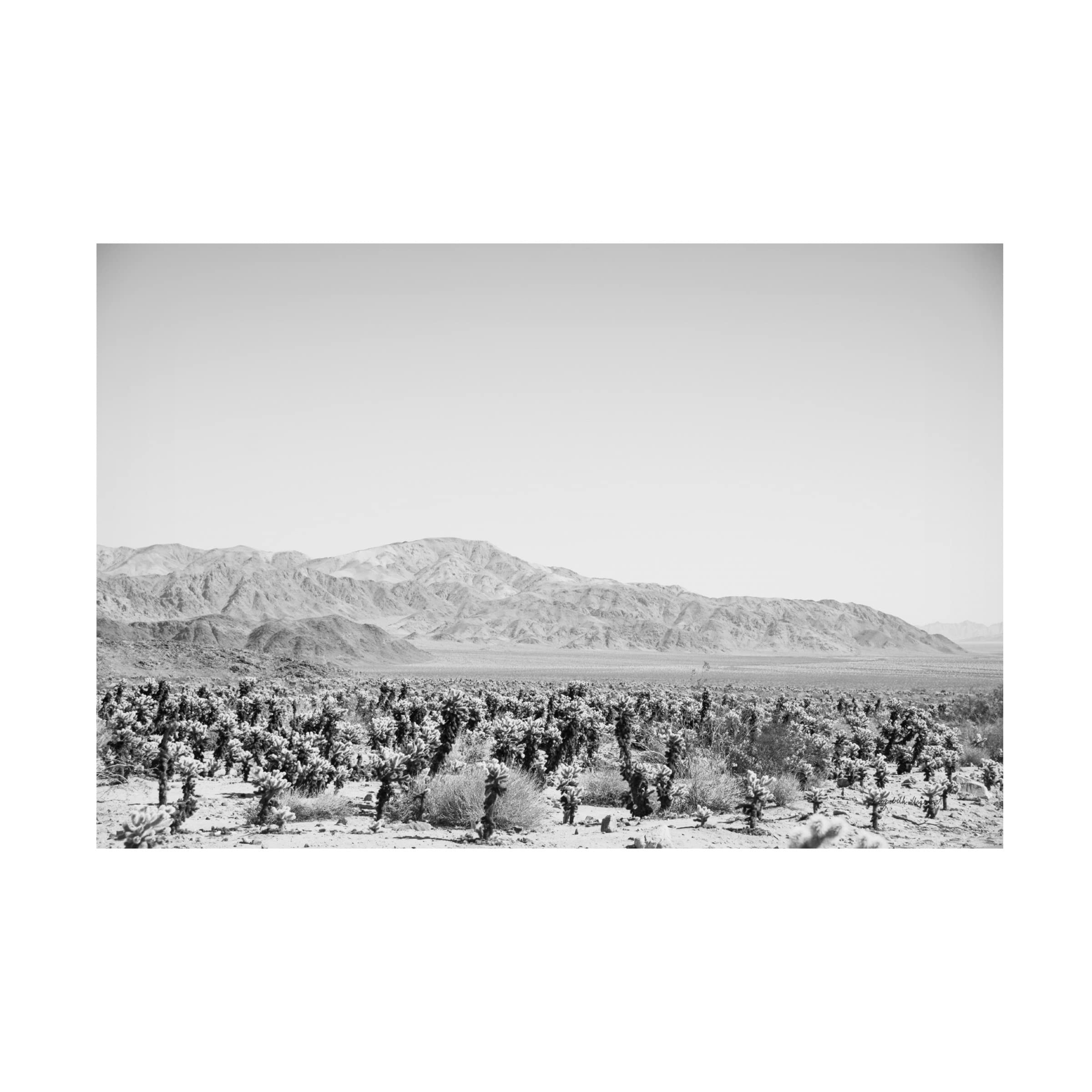 Trademark Fine Art 'Road Trip IV' Canvas Wall Art by Elizabeth Urquhart - Vintage Landscape Painting for Living Room, Bedroom & Office Decor