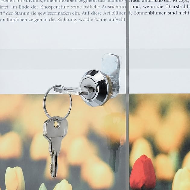 FSA1 Flat Display A4 Size - Aluminum Frame with White Background - Perfect for Office Documents, Presentations & Wall Art