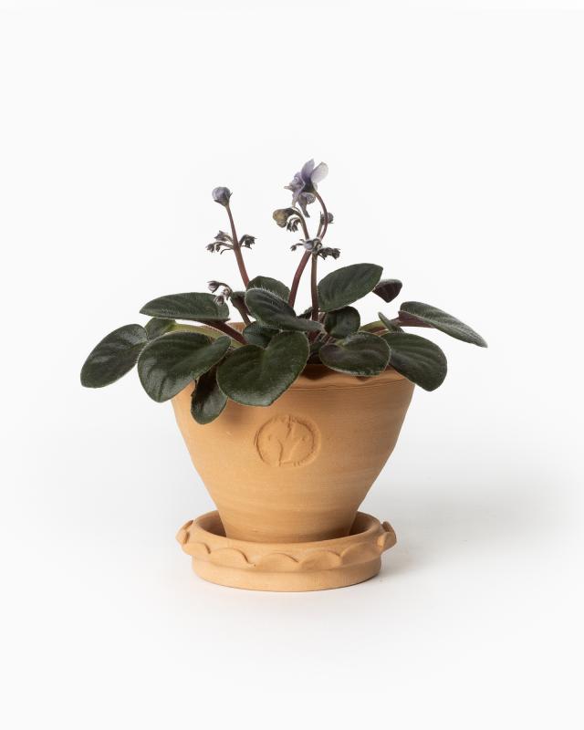 Kruka Sturehof Adelcrantz 11 cm Ceramic Flower Pot - Perfect for Indoor Plants, Succulents, and Home Decor