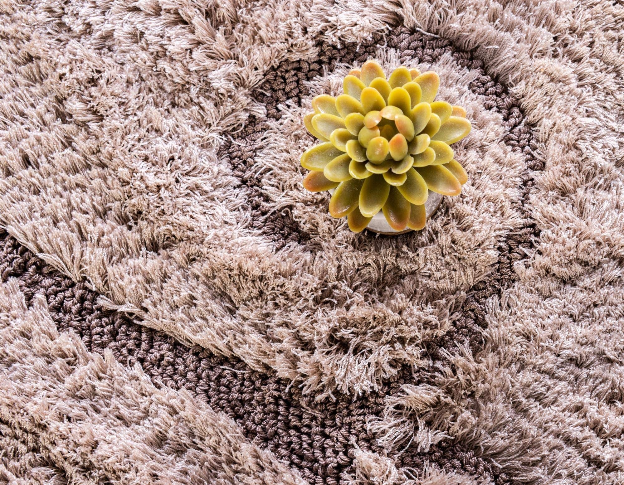 Botanical Shag Collection 10 Ft Runner Light Brown Shag Rug - Soft Plush Hallway & Entryway Carpet for Living Room, Bedroom Decor | Rugs.com