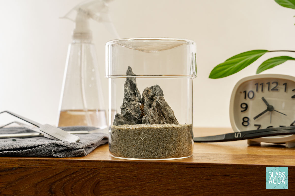 Miniature Terrarium Kit for Home Decor - DIY Glass Garden with Succulents & Air Plants - Perfect for Office Desk, Living Room, or Gift Giving