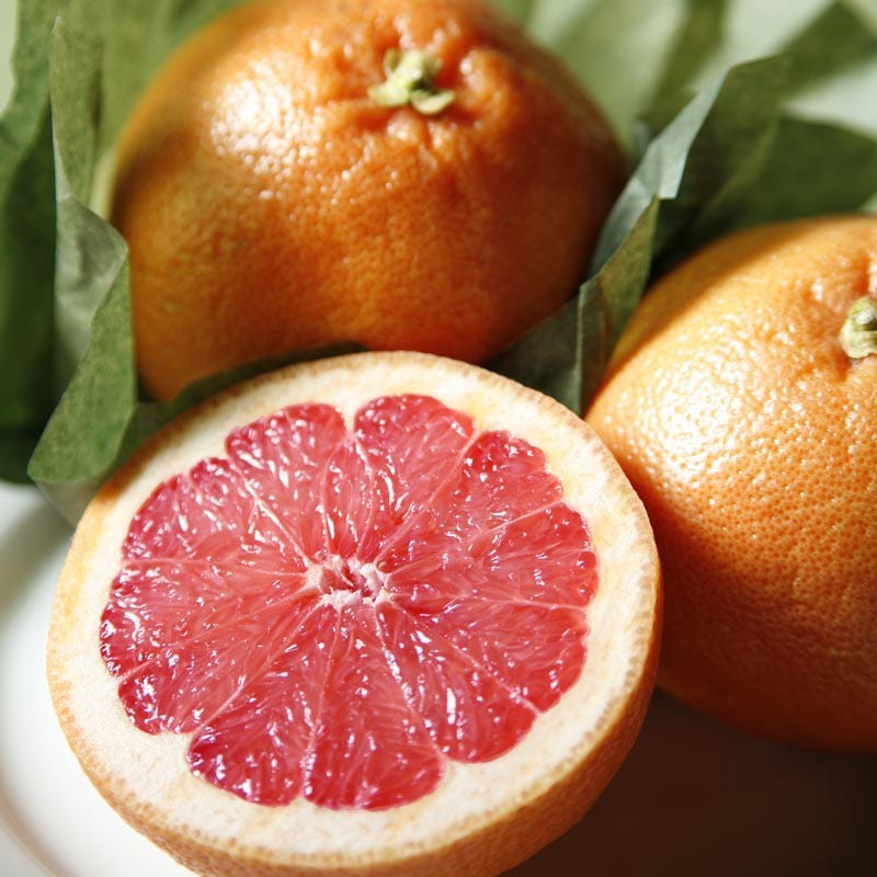 Fresh Organic Red Grapefruit - Sweet & Juicy Ruby Red Grapefruits for Breakfast, Juicing & Healthy Snacks | Perfect for Salads, Smoothies & Gift Baskets