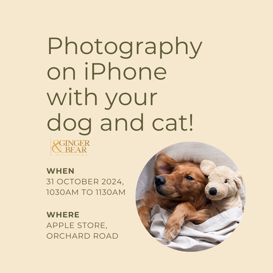 iPhone Photography Guide: How to Take Stunning Photos with Your Dog and Cat - Perfect for Pet Lovers and Social Media Sharing
