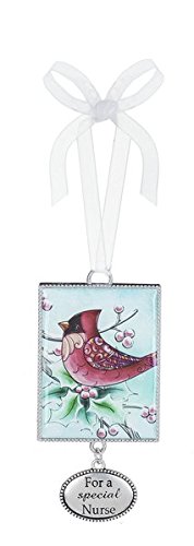Special Nurse Gift - Ganz Ornament for Home Decor & Appreciation