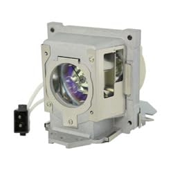 BENQ TP4949-LAMP 1 Replacement Projector Bulb with Housing - Compatible with BenQ Projectors - High Brightness Lamp for Home Theater & Office Presentations