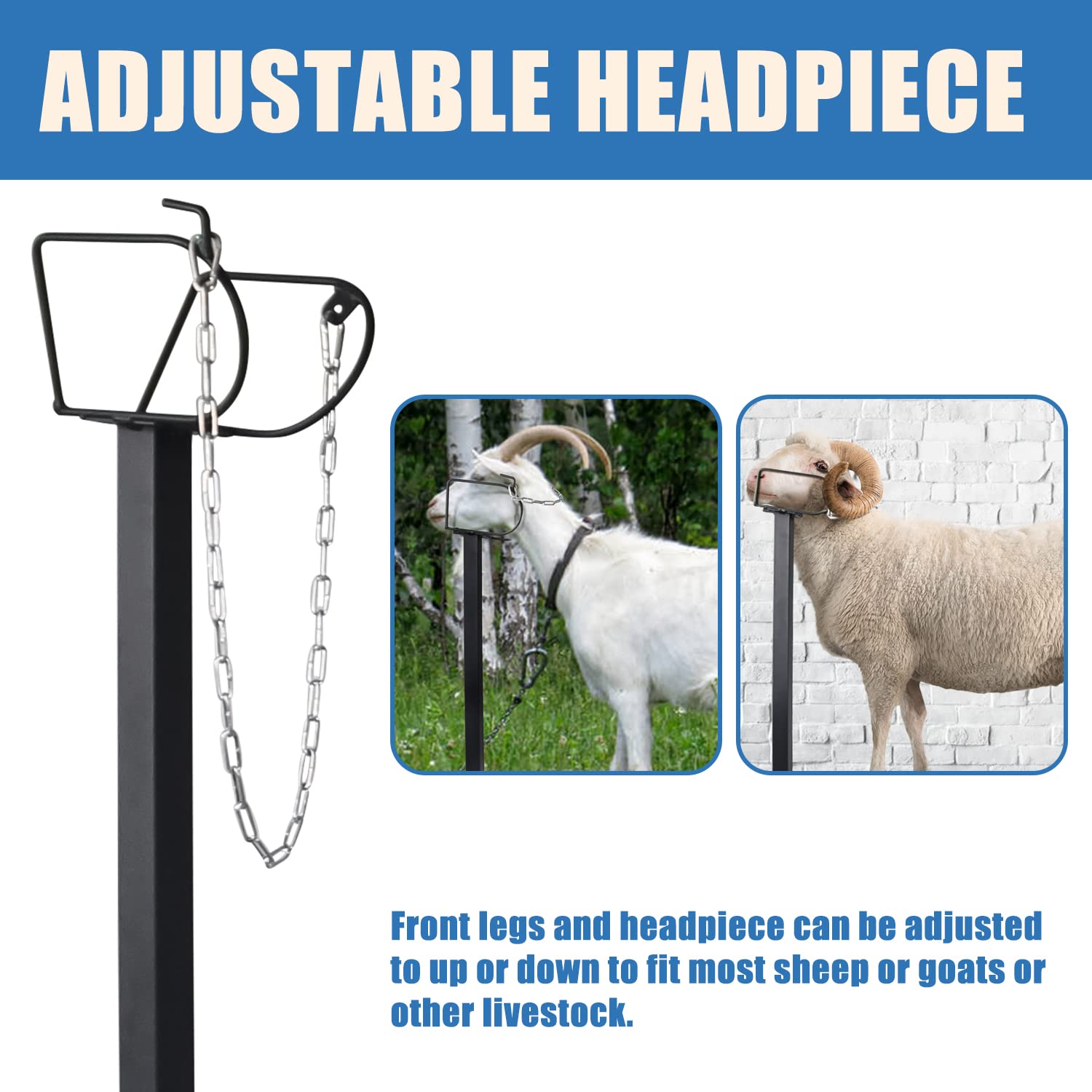 Adjustable Metal Goat Milking Stand for Sheep & Livestock - Heavy Duty Trimming & Shearing Stand with Adjustable Headpiece & Height (Black) - Perfect for Farm, Ranch & Homestead Use