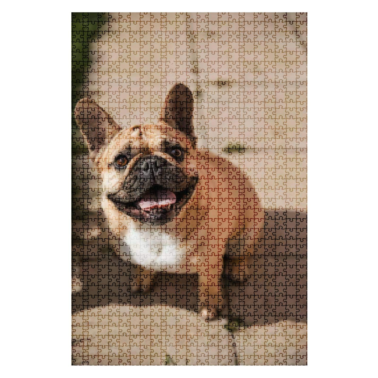 GAROLINAPW 1000-Piece Wooden Jigsaw Puzzle - Smiling French Bulldog, Educational & Stress-Relief DIY Toy for Adults & Kids, Perfect Fit, Multicolor - Great for Family Game Night, Classroom Activities & Creative Home Decor