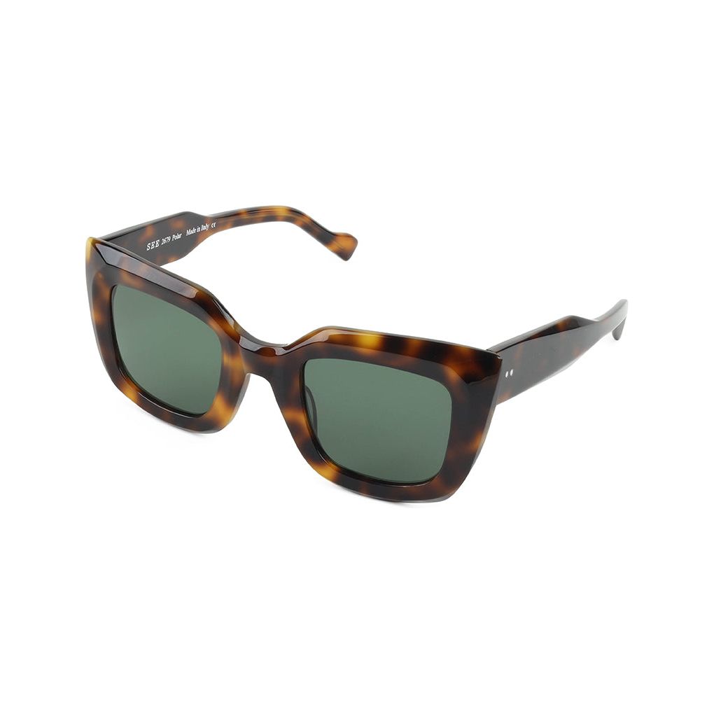 2679 Polar Sunglasses - UV Protection, Polarized Lenses for Men & Women - Perfect for Driving, Fishing, and Outdoor Activities