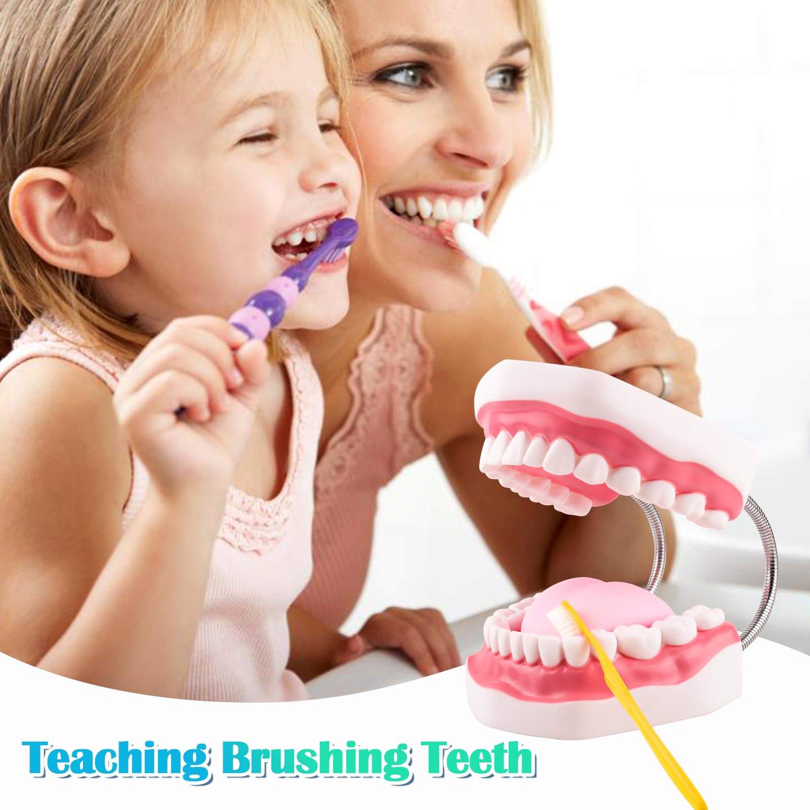 **6X Enlarged Dental Teeth Model with Metal Hinge for Speech Therapy & Brushing Training – Perfect for Kids & Children, Includes Toothbrush – Ideal for Dentists, Classrooms & Home Learning**