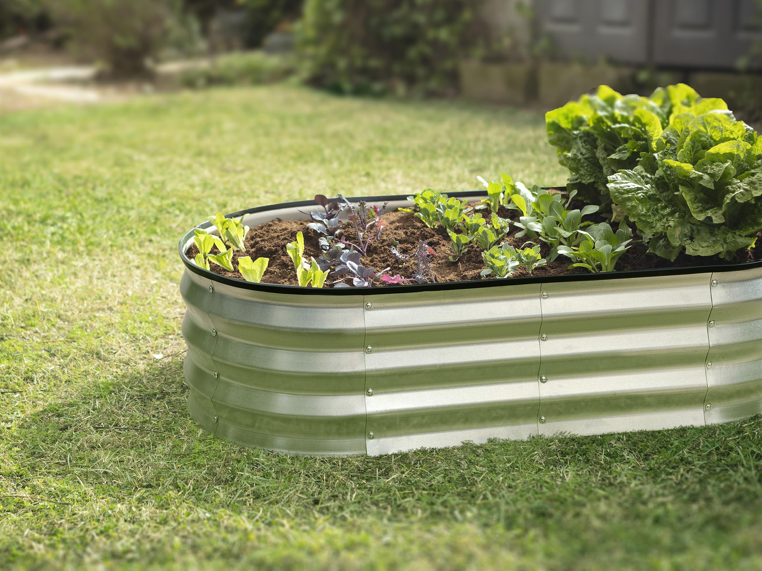 Galvanized Raised Garden Beds 4x2x1 ft (2-Pack) - Outdoor Metal Planter Box for Vegetables, Flowers & Herbs - Durable Silver Gardening Beds for Backyard, Patio & Urban Farming